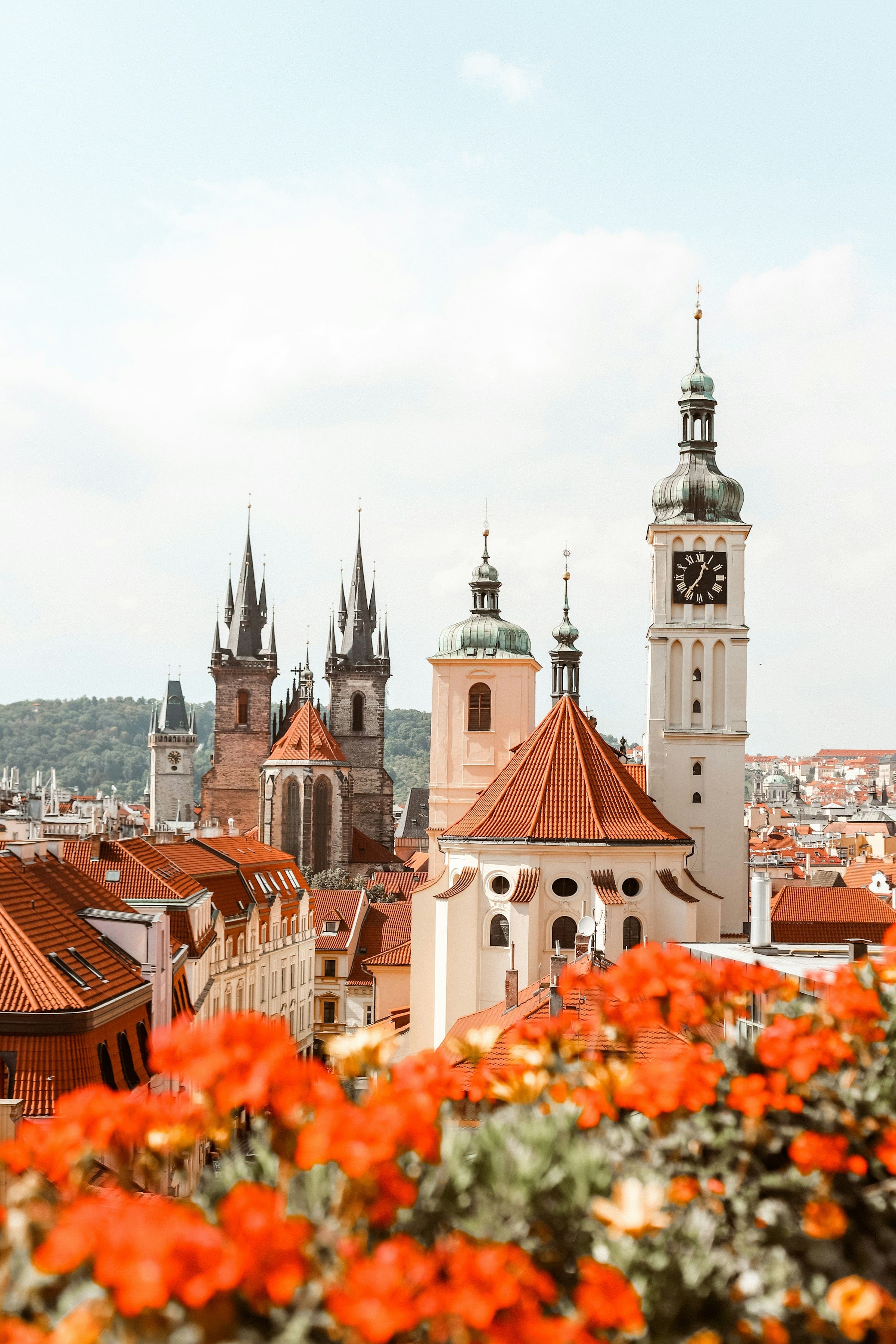 View of a European cityscape with red-roofed buildings, church towers, and orange flowers in the foreground.